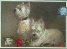 Terriers and Roses
